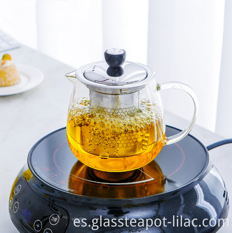 Borosilicate Tea Pot 3